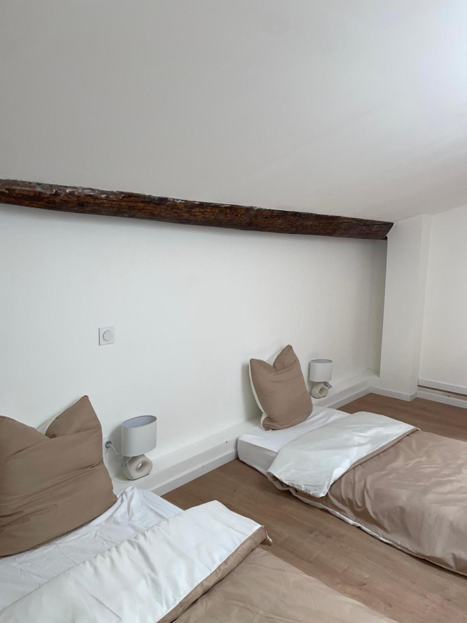 Duplex Raffine, Elegant & Climatise - La Mezz Apartment Nîmes Exterior photo